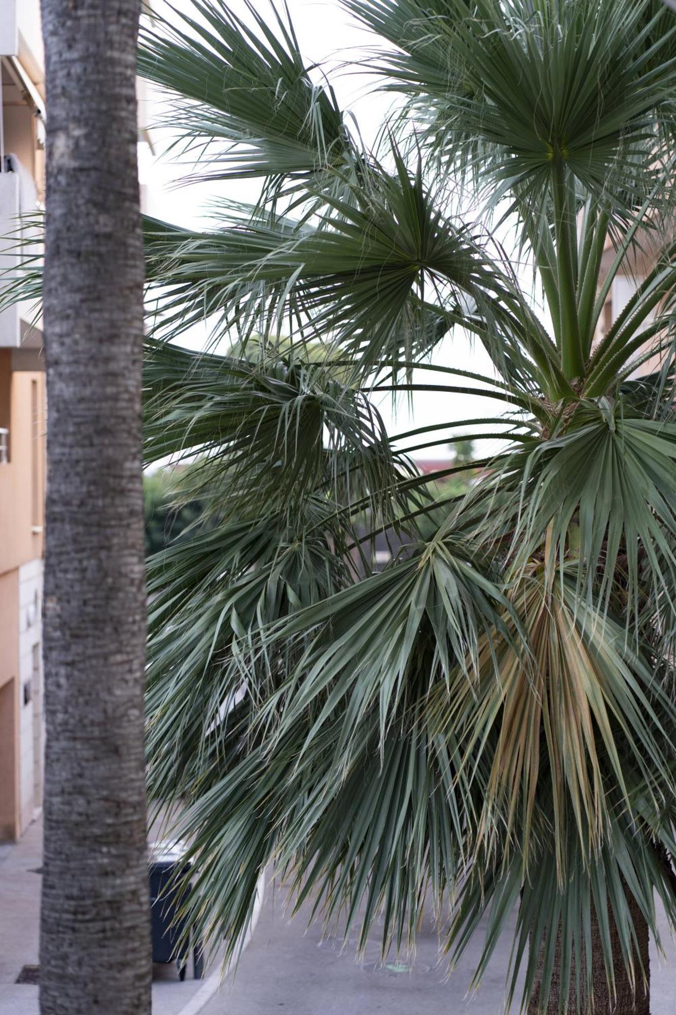 La Petit Maisonette De Manu Cannes Esterno foto
